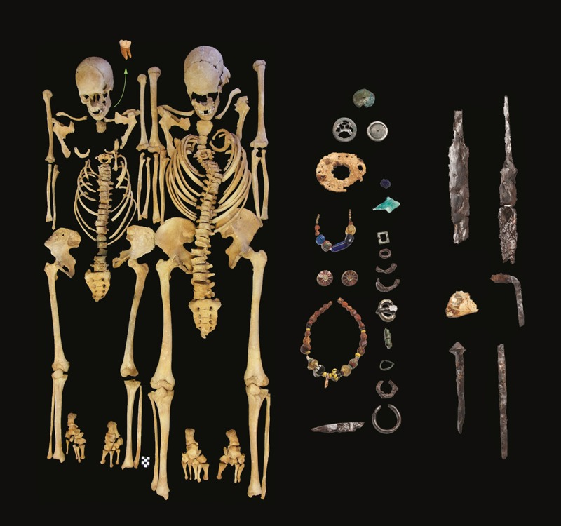 Remains of an adult woman (left) and adult man (right) excavated at the Atlenerding site. Evidence of Y. persis was found in the remains.